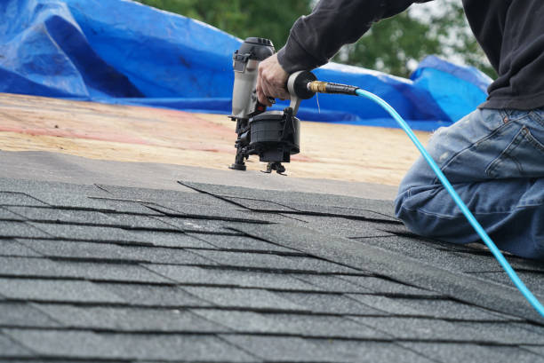 Best Roof Leak Repair  in Wooster, AR